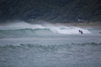 dsc_1917_600_x_399_400